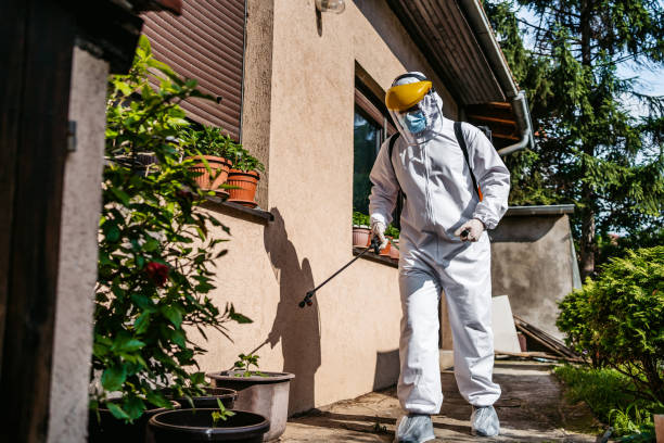 Best Bird Control  in Anza, CA