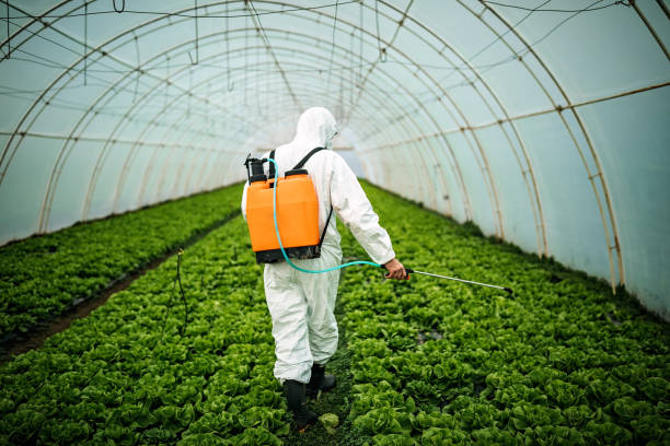 Trusted Anza, CA Pest Control Experts