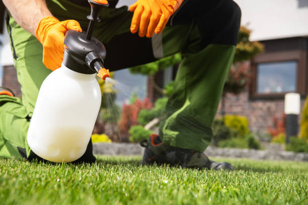 Best Spider Control Near Me  in Anza, CA