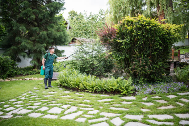 Best Emergency Pest Control  in Anza, CA