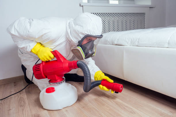 Best Local Pest Control Services  in Anza, CA