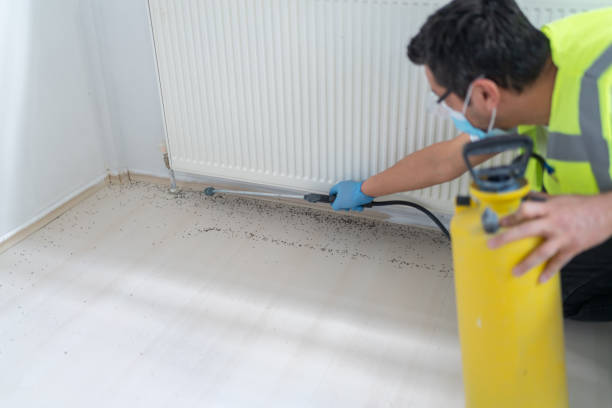 Best Cockroach Control Services  in Anza, CA